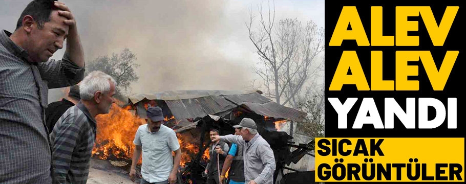 Bolu'da ahır, fırın evi, 2 samanlık, 2 bin saman balyası yandı