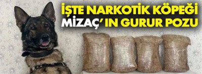 Bolu jandarmasının uyuşturucu avcısı Mizaç yine malı buldu