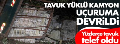 Tavuk yüklü kamyon uçuruma devrildi, yüzlerce tavuk telef oldu