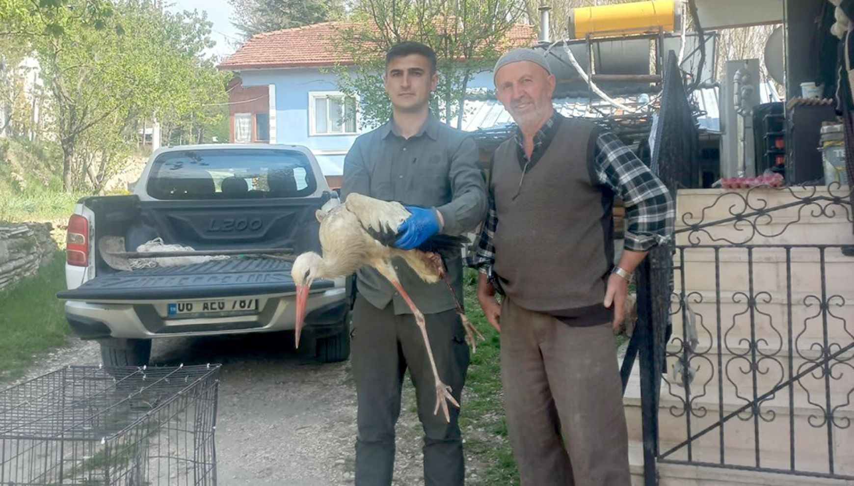 Yaralandığı için uçamayan leylek tedavi altına alındı
