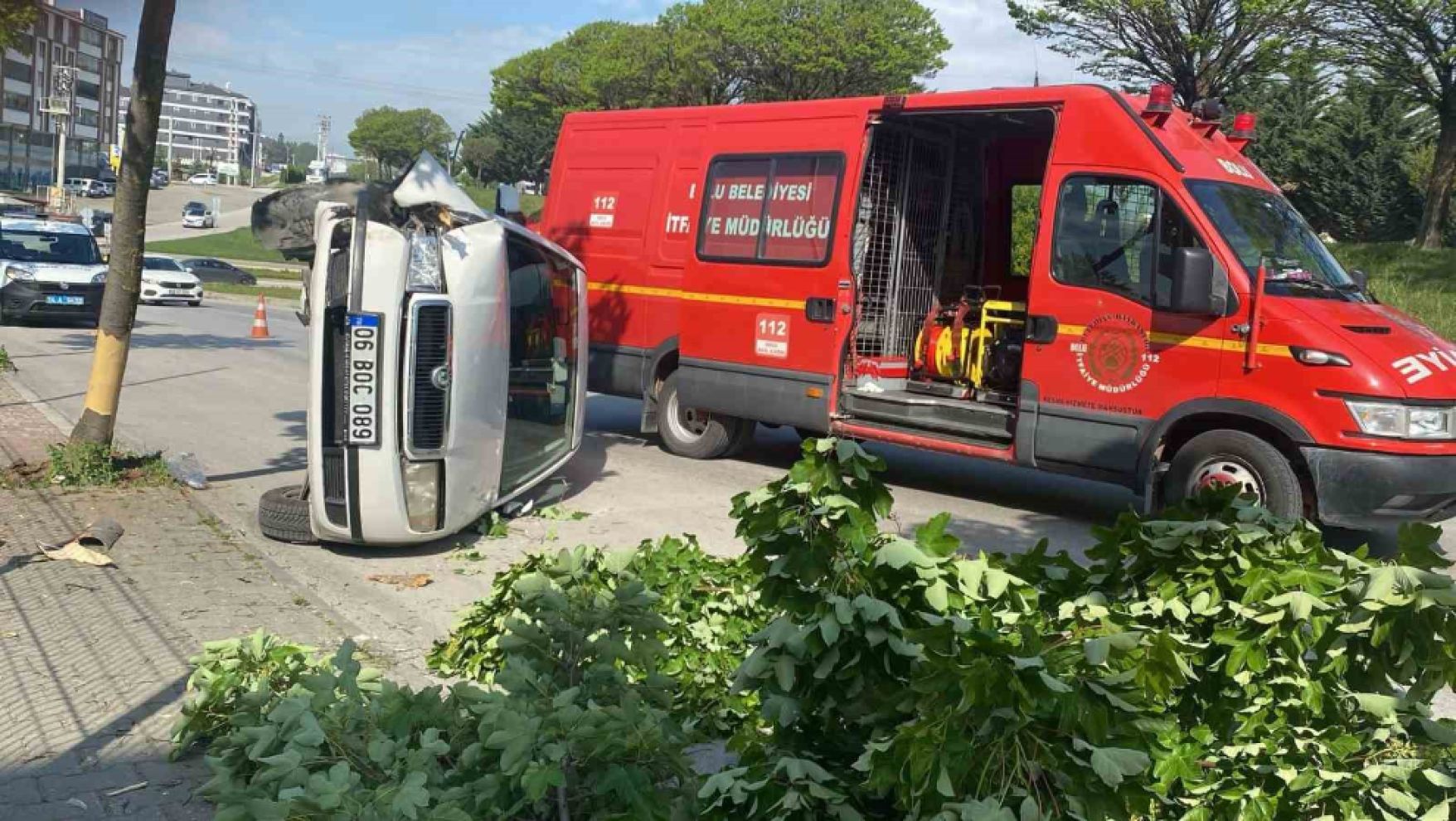 Otomobil rampa yukarı çıkarken ağaca çarptı