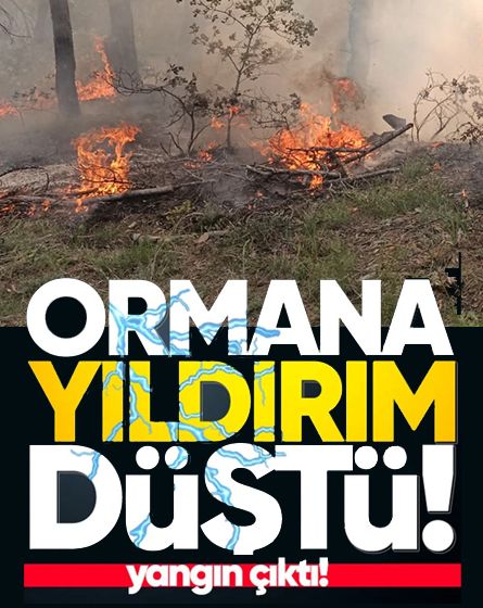 Bolu'da ormanlık alana düşen yıldırım yangına neden oldu