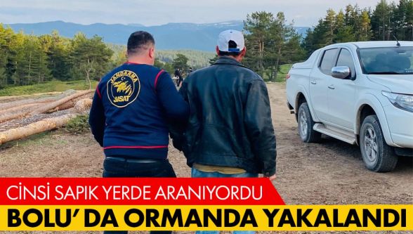 Ormanlık alanda saklanan cinsel istismar suçlusu JASAT tarafından yakalandı