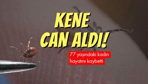 Bolu'da kene ısırması sonucu 77 yaşındaki kadın hayatını kaybetti