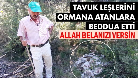 Çobanlık yapan vatandaş tepki gösterdi: "Allah belanızı versin"