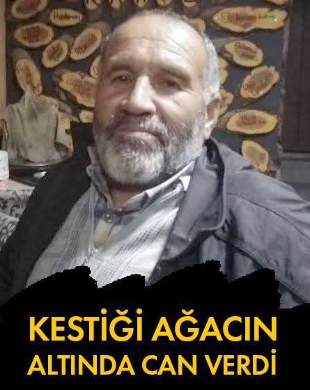 Ormanda kestiği ağaç üzerine devrilen orman işçisi hayatını kaybetti