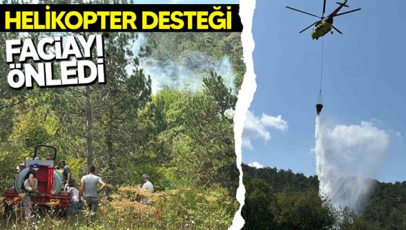 Bolu'daki orman yangını kısa sürede kontrol altına alındı