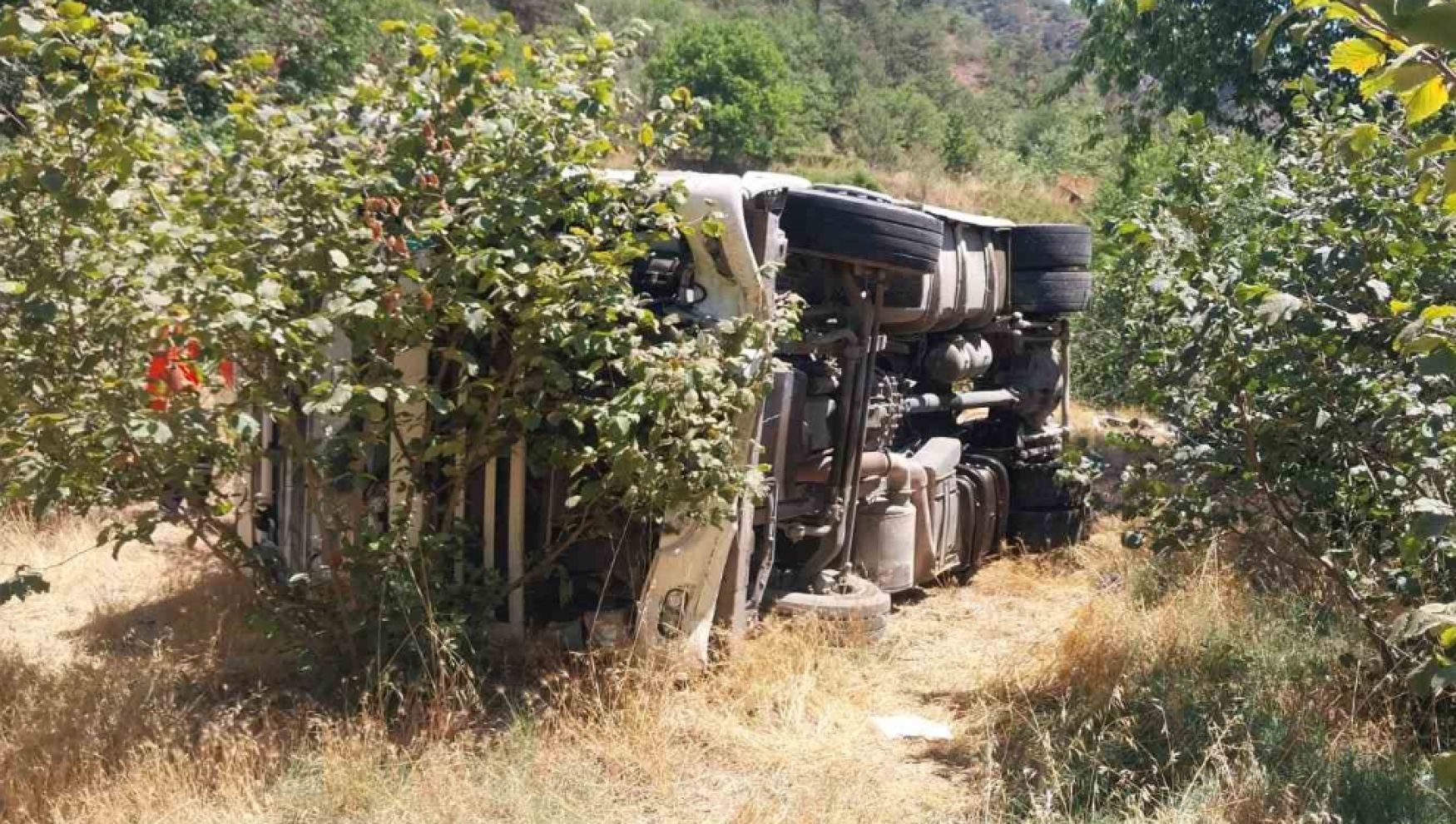 Bolu'da kontrolden çıkan tır fındık bahçesine devrildi