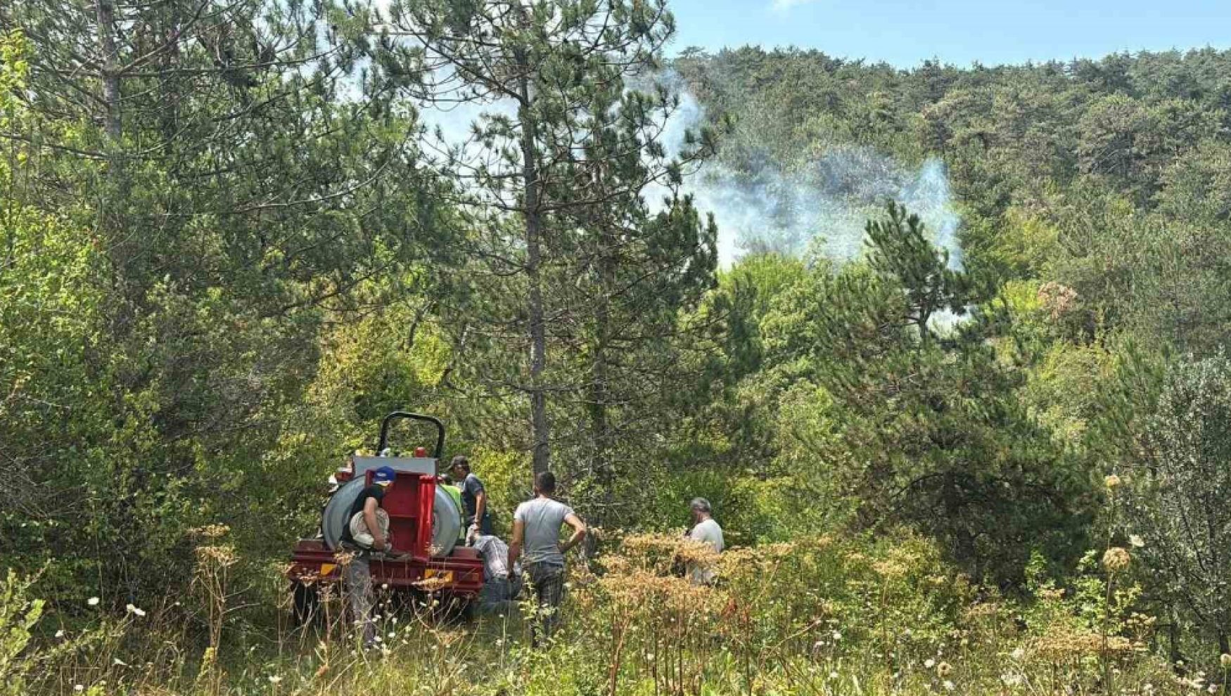 Bolu’daki orman yangını kısa sürede kontrol altına alındı