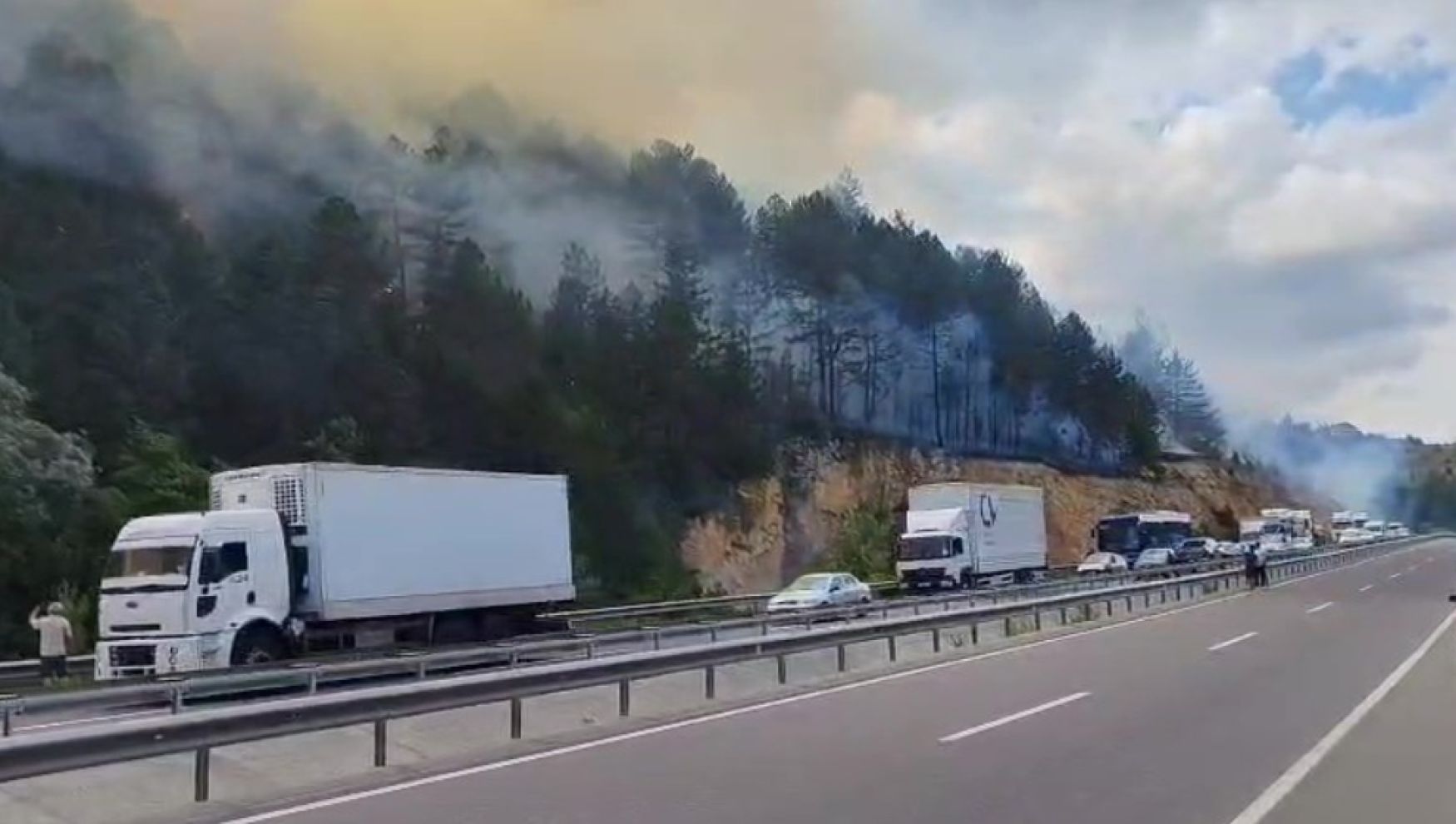 Bolu’da çıkan orman yangını kontrol altına alındı