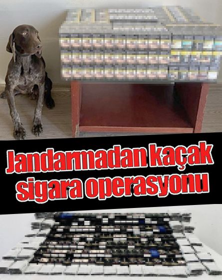 Bolu'da kaçak sigara operasyonu: Binlerce kaçak ürün ele geçirildi