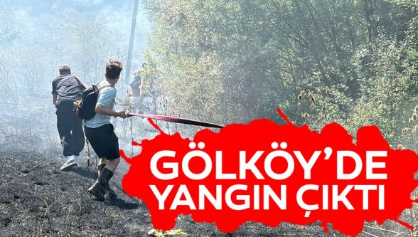 Gölköy'de orman yangını çıktı