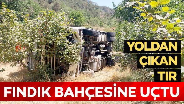 Bolu'da kontrolden çıkan tır fındık bahçesine devrildi