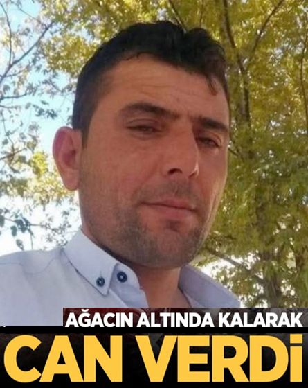Ağacın altında kalan orman işçisi hayatını kaybetti