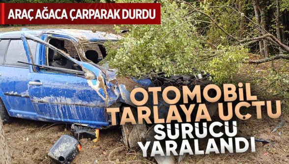 Bolu'da otomobil tarlaya uçtu: 1 yaralı