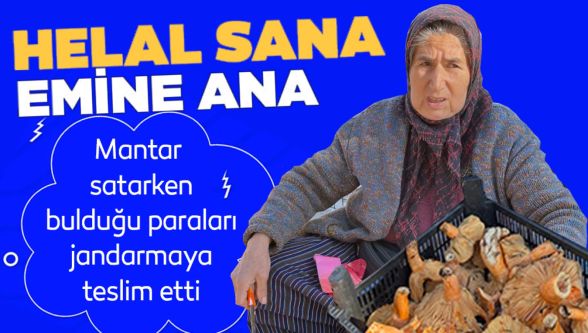 Abant Yolu'nda mantar satıcısının örnek davranışı: bulduğu 140 bin lirayı jandarmaya teslim etti