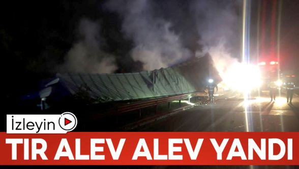 Anadolu Otoyolu'nda çekici alev alev yandı