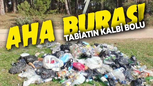 Bolu'da ormanlardan isyan ettiren görüntüler