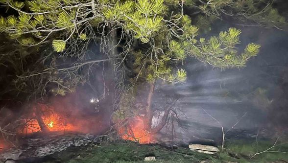 Bolu'da ormanlık alanda yangın söndürüldü