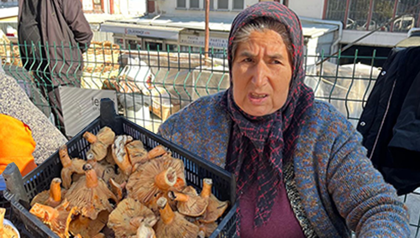 Abant Yolu’nda mantar satıcısının örnek davranışı: bulduğu 140 bin lirayı jandarmaya teslim etti