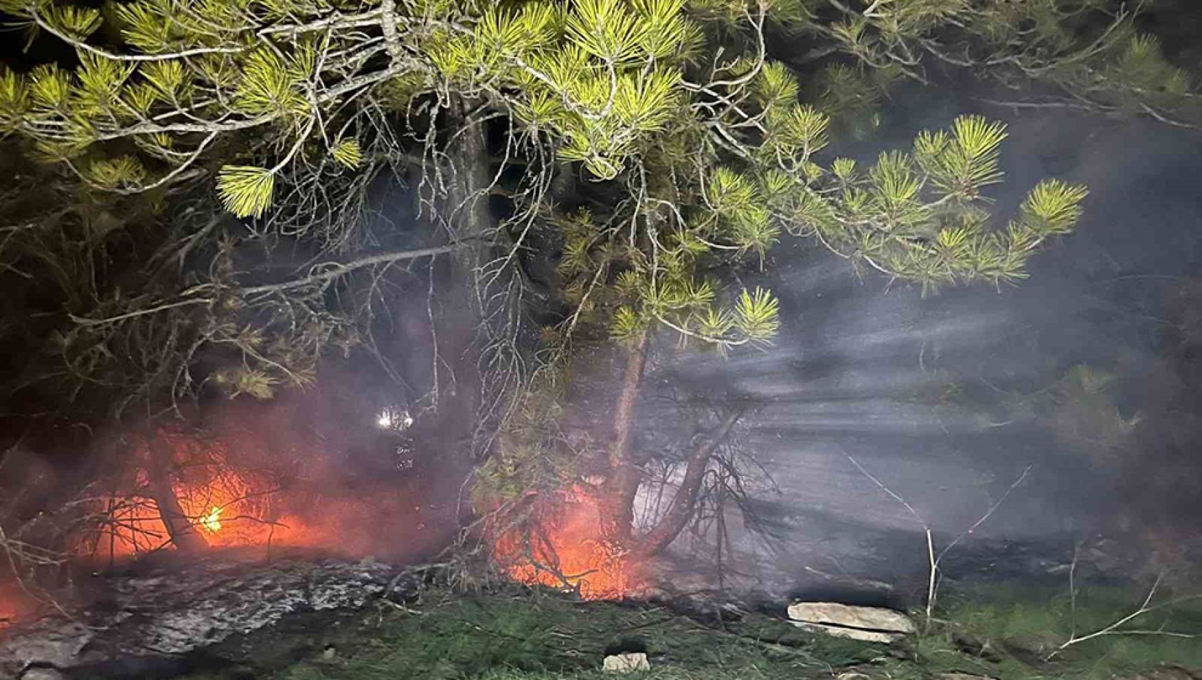 Bolu'da ormanlık alanda yangın söndürüldü