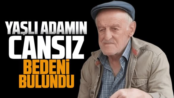 Bolu'da mantar toplamak için çıktığı ormanda kaybolan yaşlı adam ölü bulundu