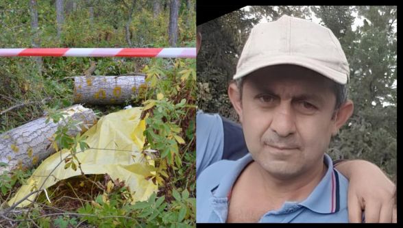 Ağaç keserken can verdi