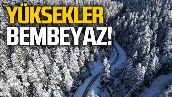 Bolu'nun yüksek kesimlerinde kar yağışı yaylaları beyaza bürüdü