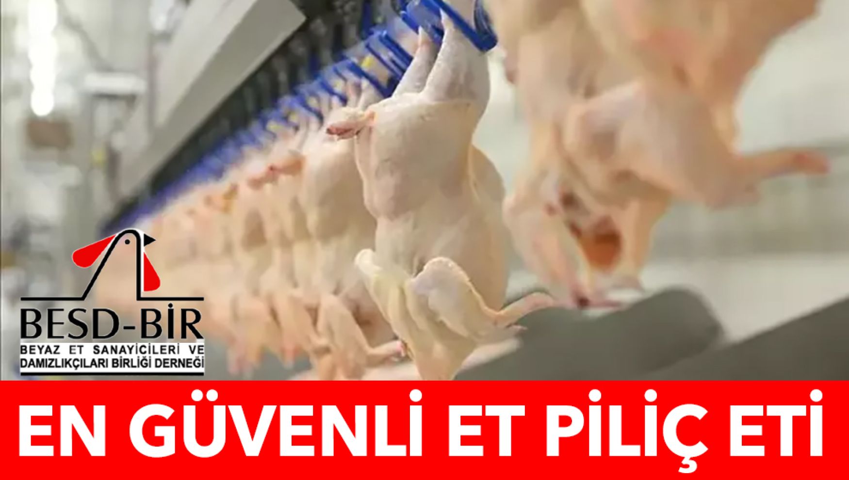 Piliç etinde gıda güvenliği: Soğuk zincir ve doğru pişirme en kritik aşamalar