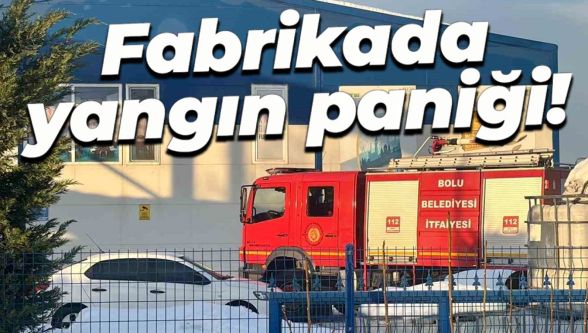 Bolu OSB'de mobilya fabrikasında yangın paniği