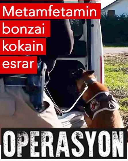 Bolu'da uyuşturucu operasyonu: 23 gözaltı, 3 tutuklama