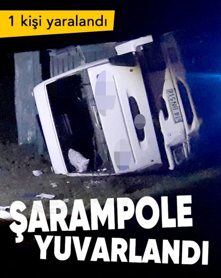 Mudurnu'da kamyon şarampole devrildi, 1 kişi yaralandı