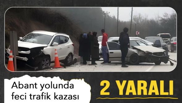 Abant yolunda viraj faciası: 2 yaralı