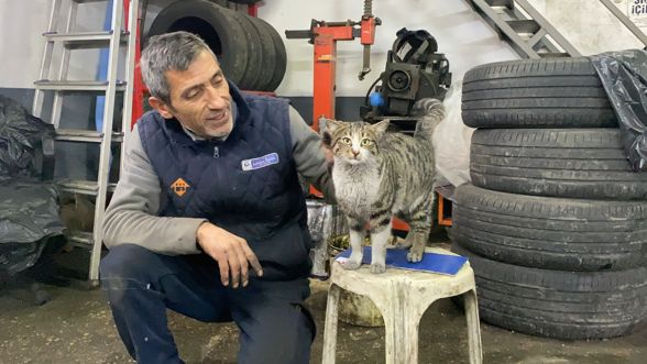 Bolu sanayisinin sevimli çırağı: Şıkkıdı görenleri gülümsetiyor