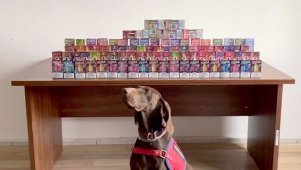 Bolu'da 150 kaçak elektronik sigara ele geçirildi