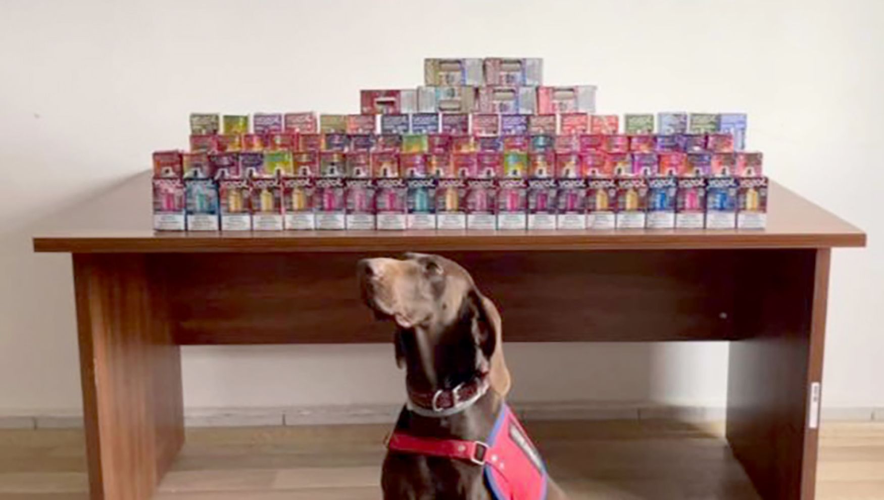 Bolu'da 150 kaçak elektronik sigara ele geçirildi