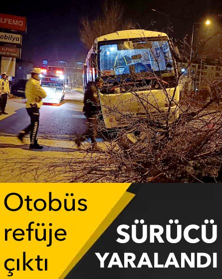 Bolu'da kontrolden çıkan halk otobüsü refüje çıktı, ağaca çarparak durabildi