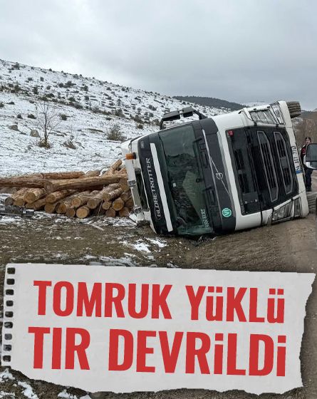 Bolu'da tomruk yüklü tır devrildi: 1 yaralı
