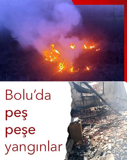 Bolu'da peş peşe yangınlar: Ev küle döndü, otluk alan son anda kurtarıldı