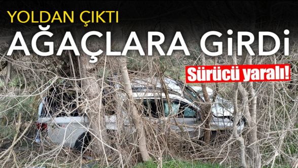 Ağaçlara çarparak durabildi