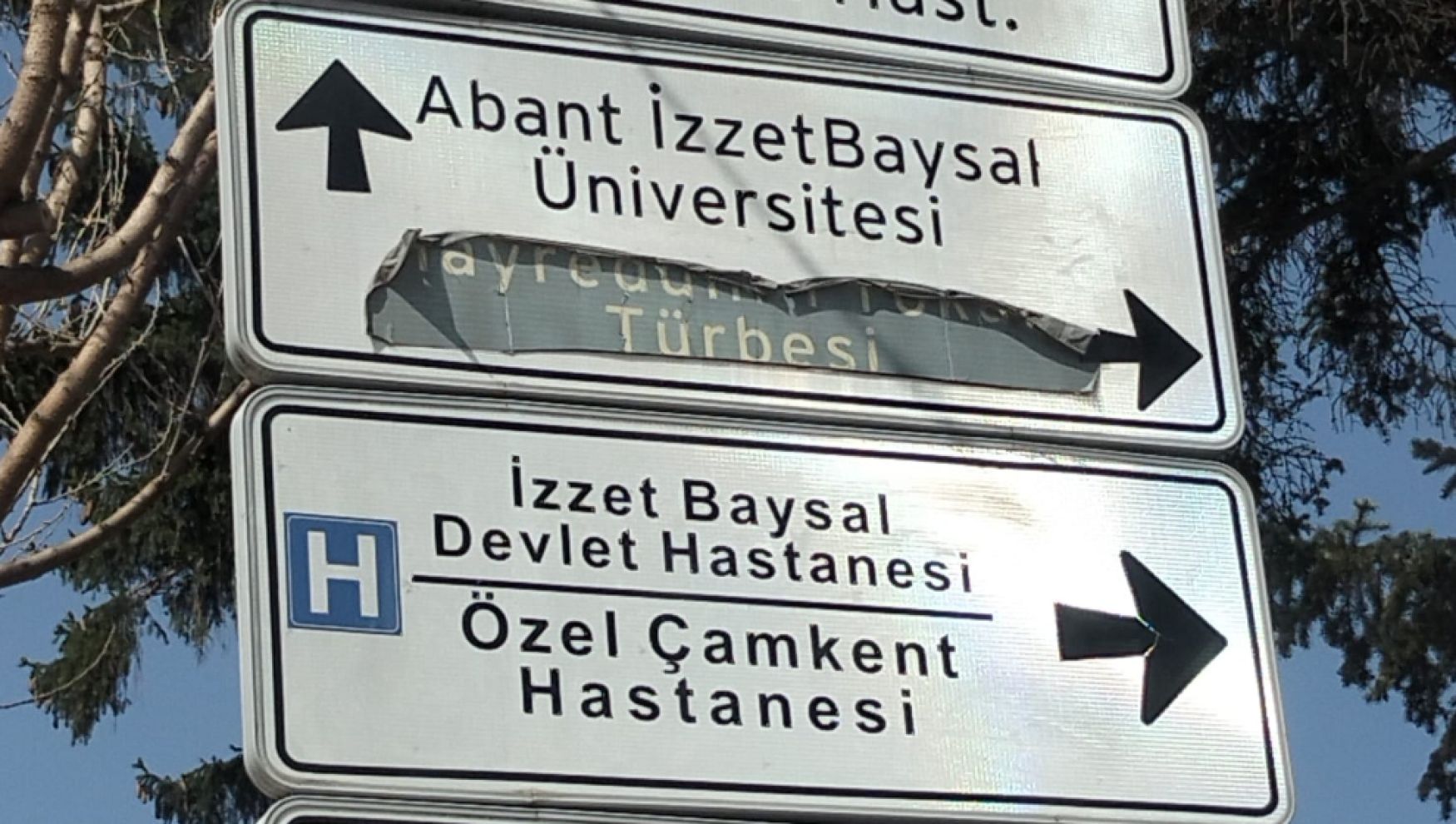 Bu tabelayı gören şaşırıyor: Yukarı mı, sağ mı, nereye?