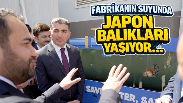 Geri kazanılan suda balıklar yüzüyor