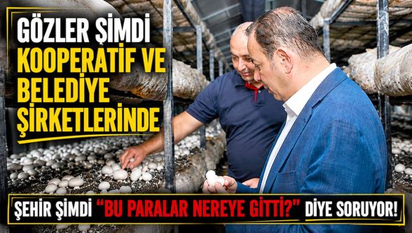 Bolu'da gözler şimdi kooperatif ve belediye şirketlerinde
