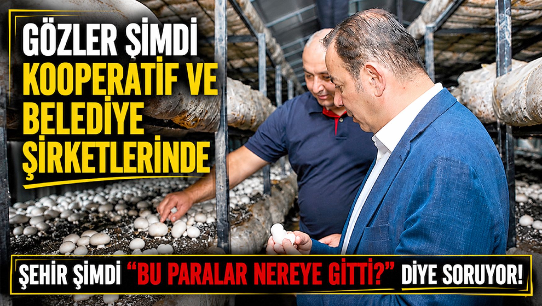 Bolu'da gözler şimdi kooperatif ve belediye şirketlerinde