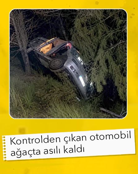 Kontrolden çıkan otomobil ağaçta asılı kaldı: 1 yaralı