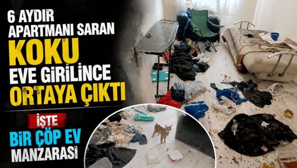 6 aydır apartmanı saran koku, eve girilince ortaya çıktı