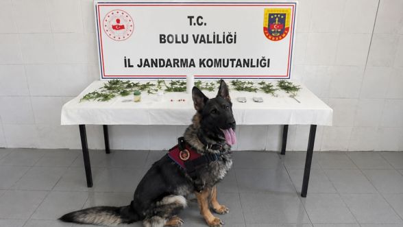 Bolu'da jandarmadan peş peşe operasyon: 3 tutuklama