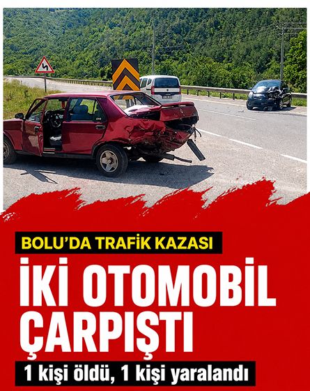 Ana yola çıkan otomobil ölüm getirdi