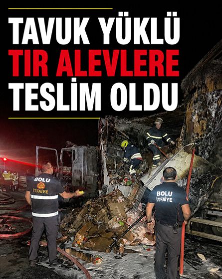 Tavuk yüklü tır TEM'de alev alev yandı