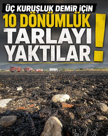İçindeki demiri almak için kanepeyi yaktılar! 10 dönümlük buğday tarlası kül oldu
